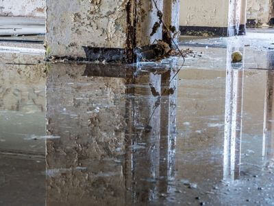 About Professional Water Removal & Restoration Experts - water damage restoration experts in Alexandria AL