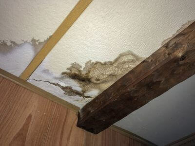 Professional water damage restoration services in Alexandria AL - Professional Water Removal & Restoration Experts